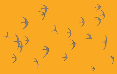 Swifts, 2017 av Sarah Hough