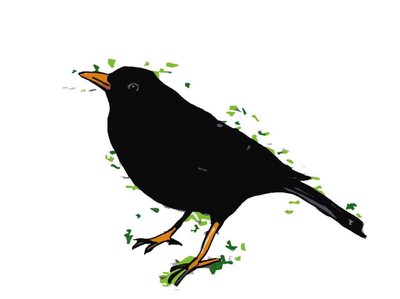 Blackbird, 2018, (digital teckning) av Sarah Thompson Engels