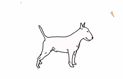 Bull terrier, 2018, (digital teckning) av Sarah Thompson Engels