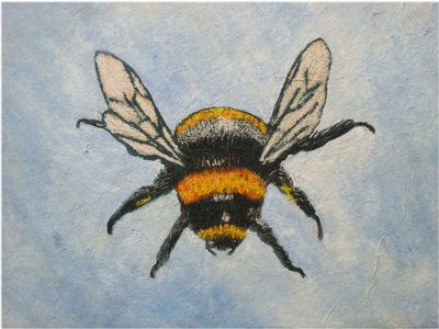 Bumblebee, 2015 (pastell och akvareller) av Sarah Thompson Engels
