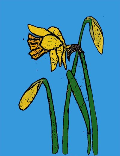 Påskliljor, 2015 (monotryck med bläck) av Sarah Thompson-Engels