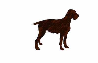 Hund, 2018, (digital teckning) av Sarah Thompson Engels