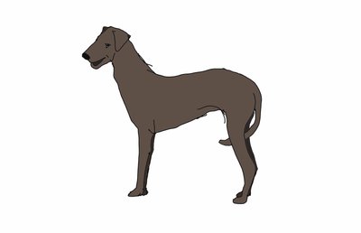Hound, 2018, (digital teckning) av Sarah Thompson-Engels