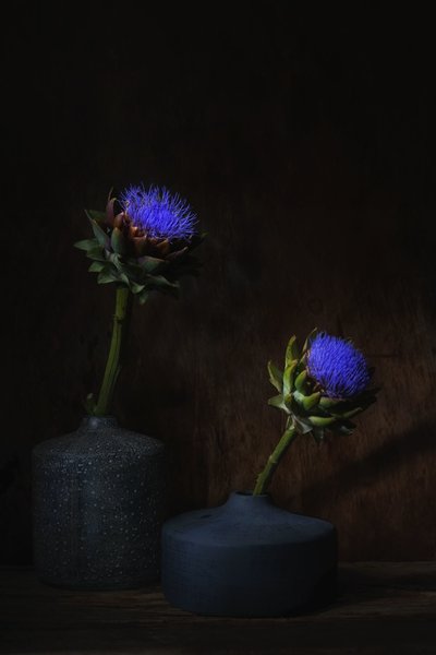  av Saskia Dingemans