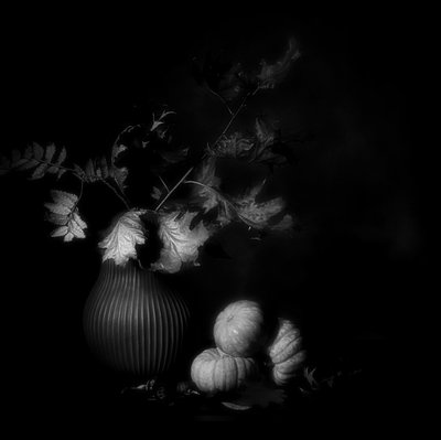  av Saskia Dingemans