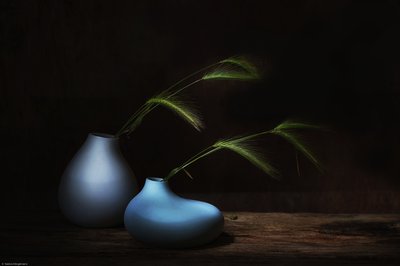  av Saskia Dingemans