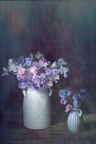  av Saskia Dingemans