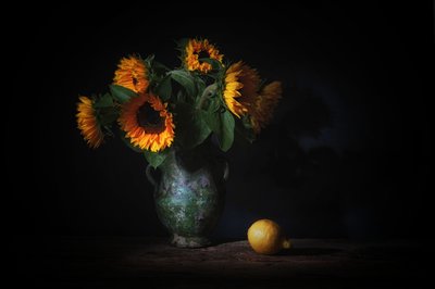  av Saskia Dingemans