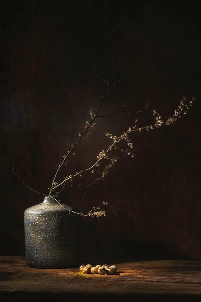  av Saskia Dingemans