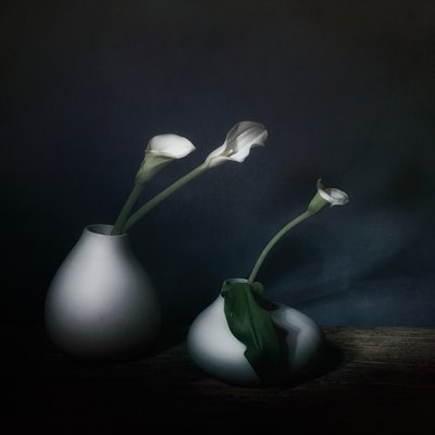  av Saskia Dingemans