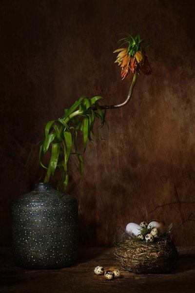  av Saskia Dingemans