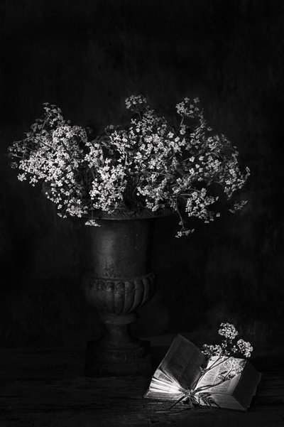  av Saskia Dingemans