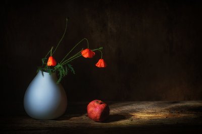 av Saskia Dingemans