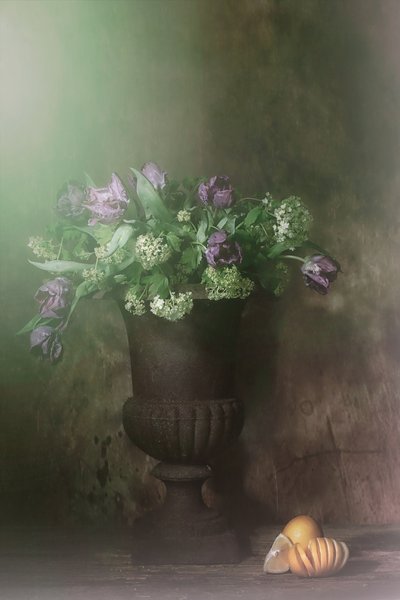  av Saskia Dingemans