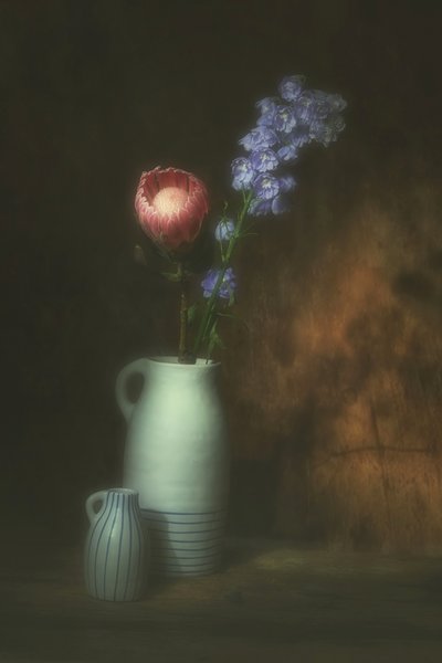  av Saskia Dingemans