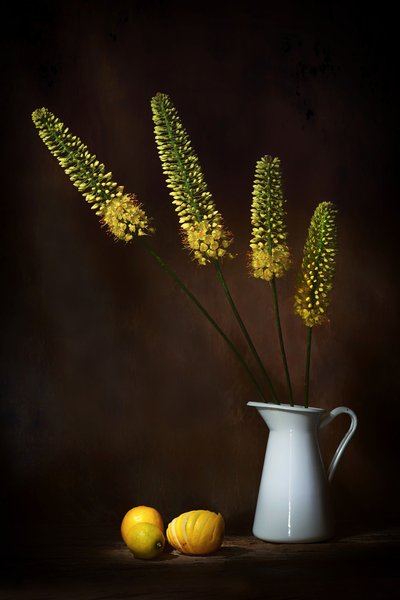 av Saskia Dingemans