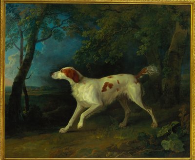 En brunvit setter i ett skogslandskap, 1773 av Sawrey Gilpin