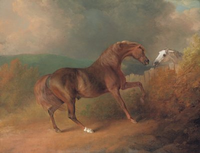 Överste Thorntons Jupiter, av Eclipse out of a Mare by Tartar, vid ett staket, med ett grått sto, på Thornville Royal, 1792 av Sawrey Gilpin