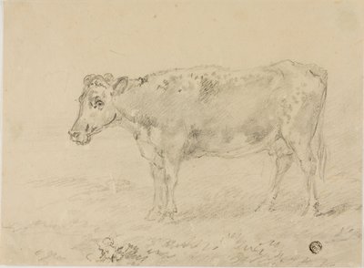 Ko av Sawrey Gilpin