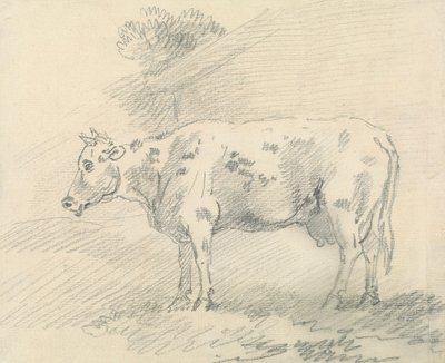 Ko av Sawrey Gilpin
