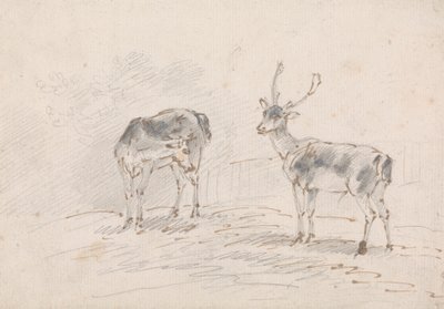 Doe och Buck av Sawrey Gilpin