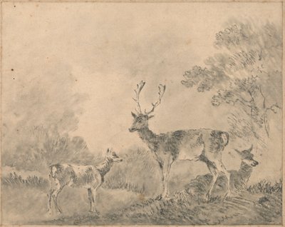 Dovhjort: Stag, Doe och Fawn i en glänta av Sawrey Gilpin