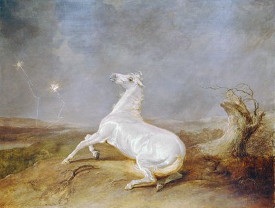 Galen häst av Sawrey Gilpin
