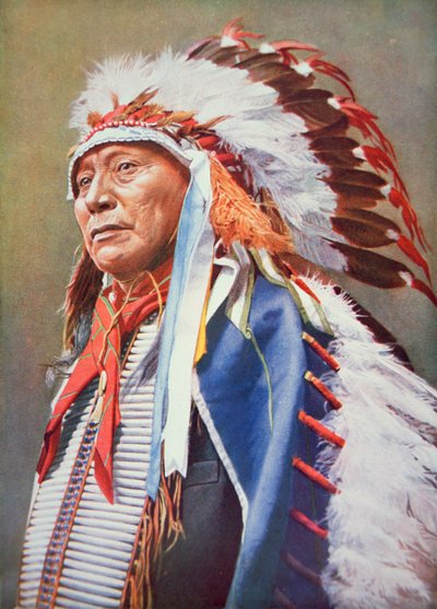 Chief Hollow Horn Bear (1850-1913) (färg litho) av School American