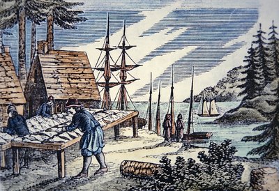 Fiskare som torkar torsk i New England, från ett träsnitt från 1600-talet (färg litho) av School American