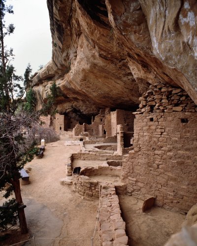 Udsigt over grantræhuspladsen (1993, fotografi) swed av School Anasazi