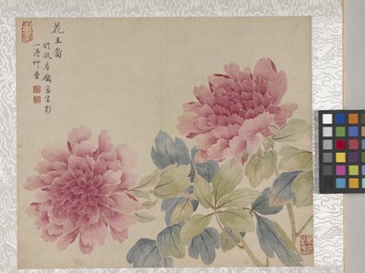 8-bladsalbum med blommor, mitten av 1700-talet (bläck och färg på papper) av School Chinese