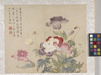8-bladsalbum med blommor, mitten av 1700-talet (bläck och färg på papper) av School Chinese