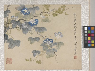 8-bladsalbum med blommor, mitten av 1700-talet (bläck och färg på papper) av School Chinese