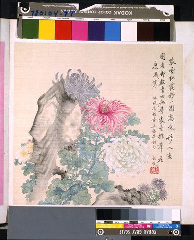 Album Of Flowers And Birds, okänt datum (tusch och färg på siden) av School Chinese