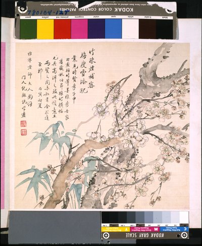 Album Of Flowers And Birds, okänt datum (tusch och färg på siden) av School Chinese