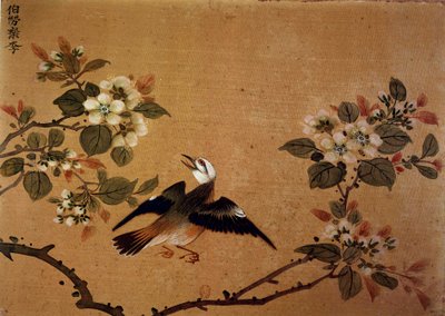 Kinesisk konst: fågel och blommor. 1500-tals sidenmålning. Paris, B.N. av School Chinese