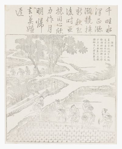 Plantera riset av School Chinese