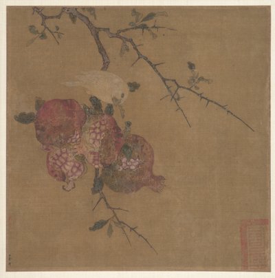 Pomegranates after Ma Lin (albumblad; tusch och färg på siden) av School Chinese