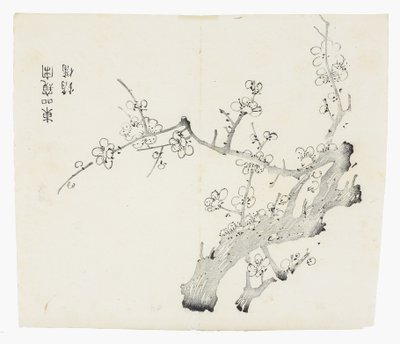 Tio Bamboo Series av School Chinese