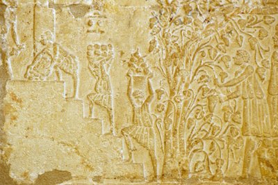 Forntida Egypten, Väggristning, Petosiris grav, Tuna el Gebel, 300 f.Kr, Bärande av druvor till vinpressen (foto) av School Egyptian