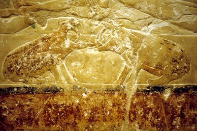 Forntida Egypten, Väggristning/-målning, Mastaba/Tomb of Idout, Saqqara, 6:e dynastin, Två flodhästar slåss (foto) av School Egyptian
