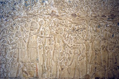 Forntida Egypten, Väggsnideri/målning, , Petosiris grav, Tuna el Gebel, 300 f.Kr, Druvplockning för vinframställning (foto) av School Egyptian