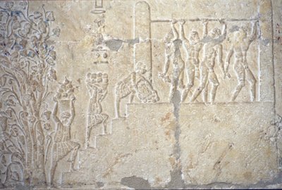 Forntida Egypten, Väggsnideri/målning, Petosiris grav, Tuna el Gebel, 300 f.Kr, Vinskörd, Vinframställning, Vinpress (foto) av School Egyptian