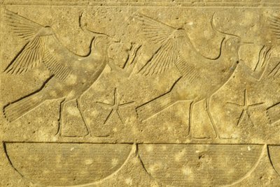 Forntida Egypten, Väggmålning/ristning, Lapwings, representerar de olika stammarna i Egypten, Karnak-templet, Luxor (foto) av School Egyptian