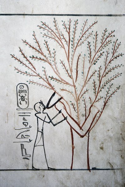 Luxor, Thebe: Konungarnas dal. Tomb of Thutmosis (Tuthmosis eller Thutmes) III (-1504 - -1450), farao av Egypten. av School Egyptian