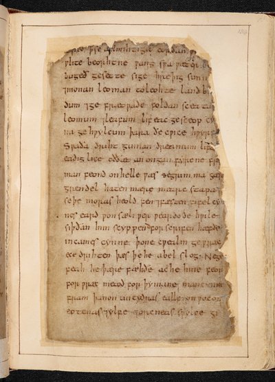 En sida med Beowulf från folios som ibland kallas "Nowell Codex" av School English