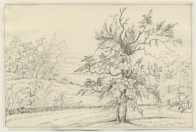 Cannock Chase: penn- och pennteckning, nd [?1800-talet] (teckning) av School English