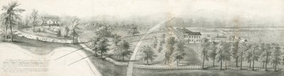 Fenton Hall och Whieldon Grove: litografi och [?1800-talet] (tryck) av School English