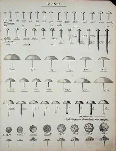 Spikar, stift och stift, från en handelskatalog över inhemska varor och tillbehör, ca 1890-1910 (litho) av School English