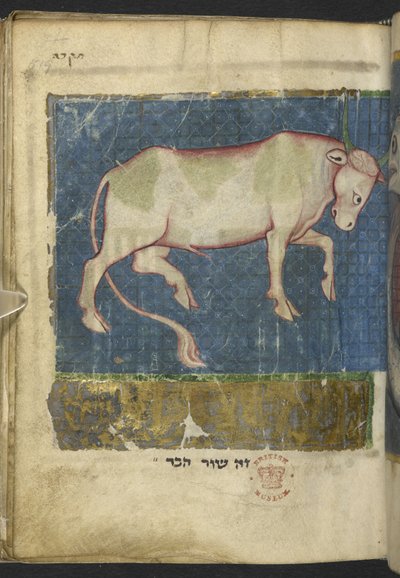 Lägg till MS 11639 f.519t En tjur, från en blandning av bibliska och andra texter (